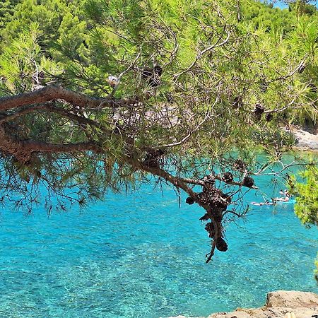 Villa Kamelija Fažana Esterno foto