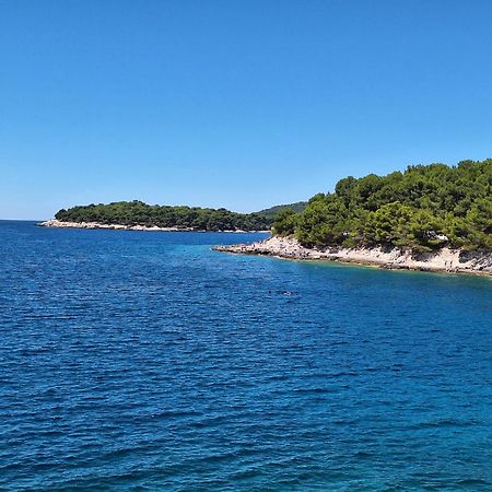 Villa Kamelija Fažana Esterno foto
