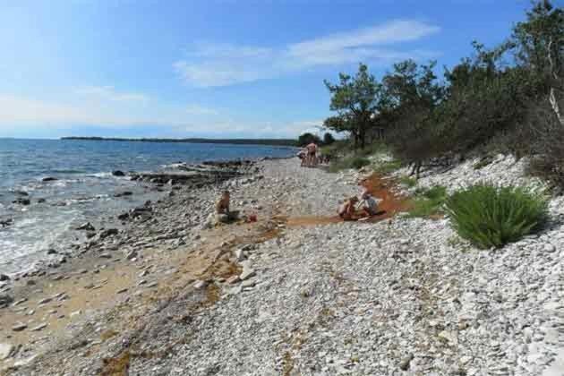 Villa Kamelija Fažana Esterno foto