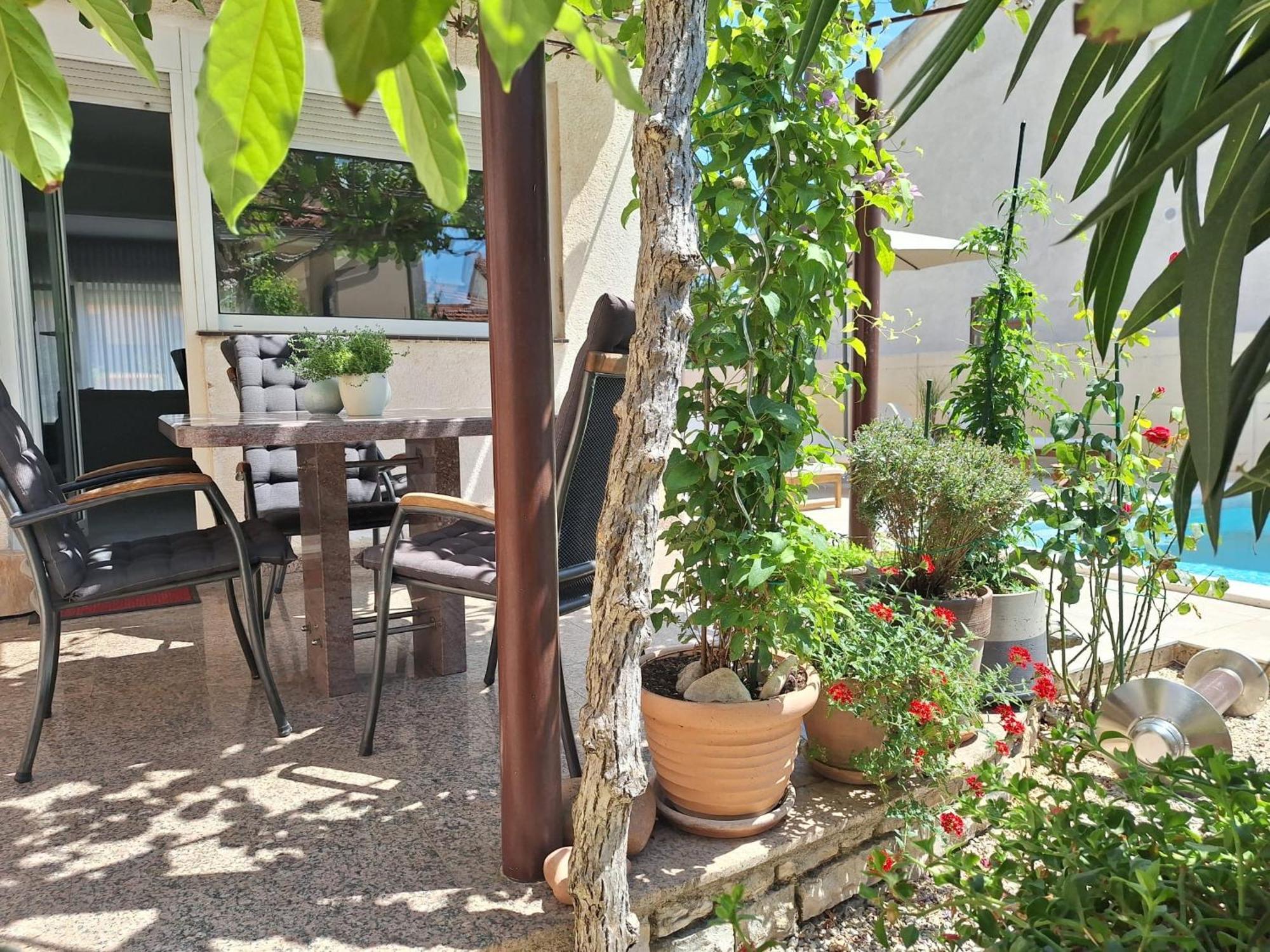 Villa Kamelija Fažana Esterno foto