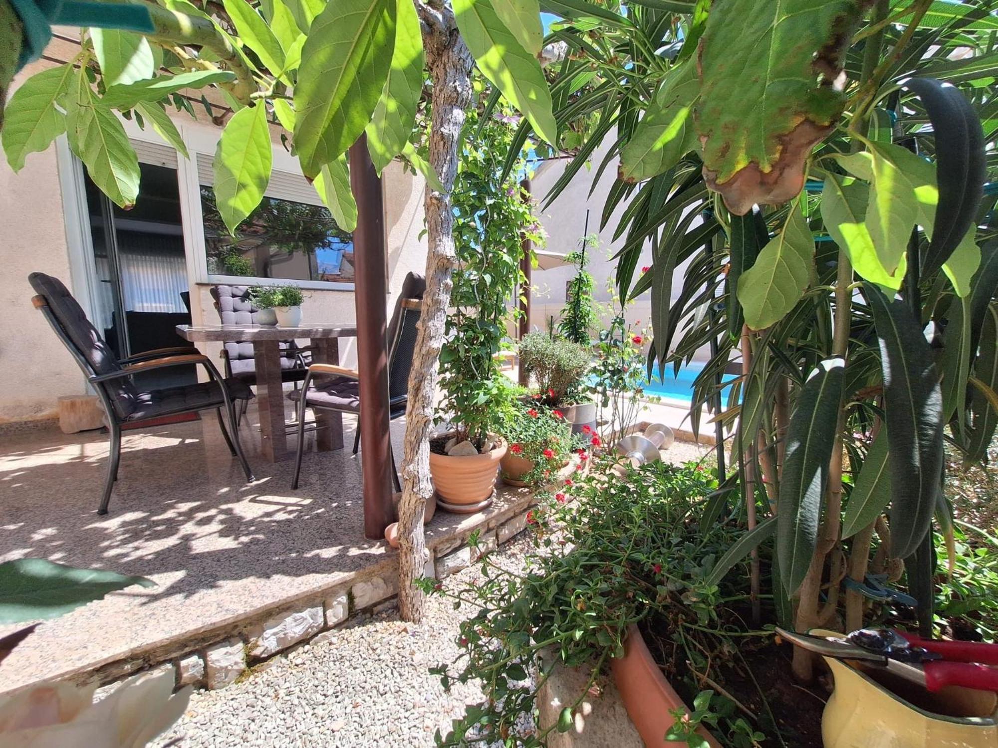 Villa Kamelija Fažana Esterno foto