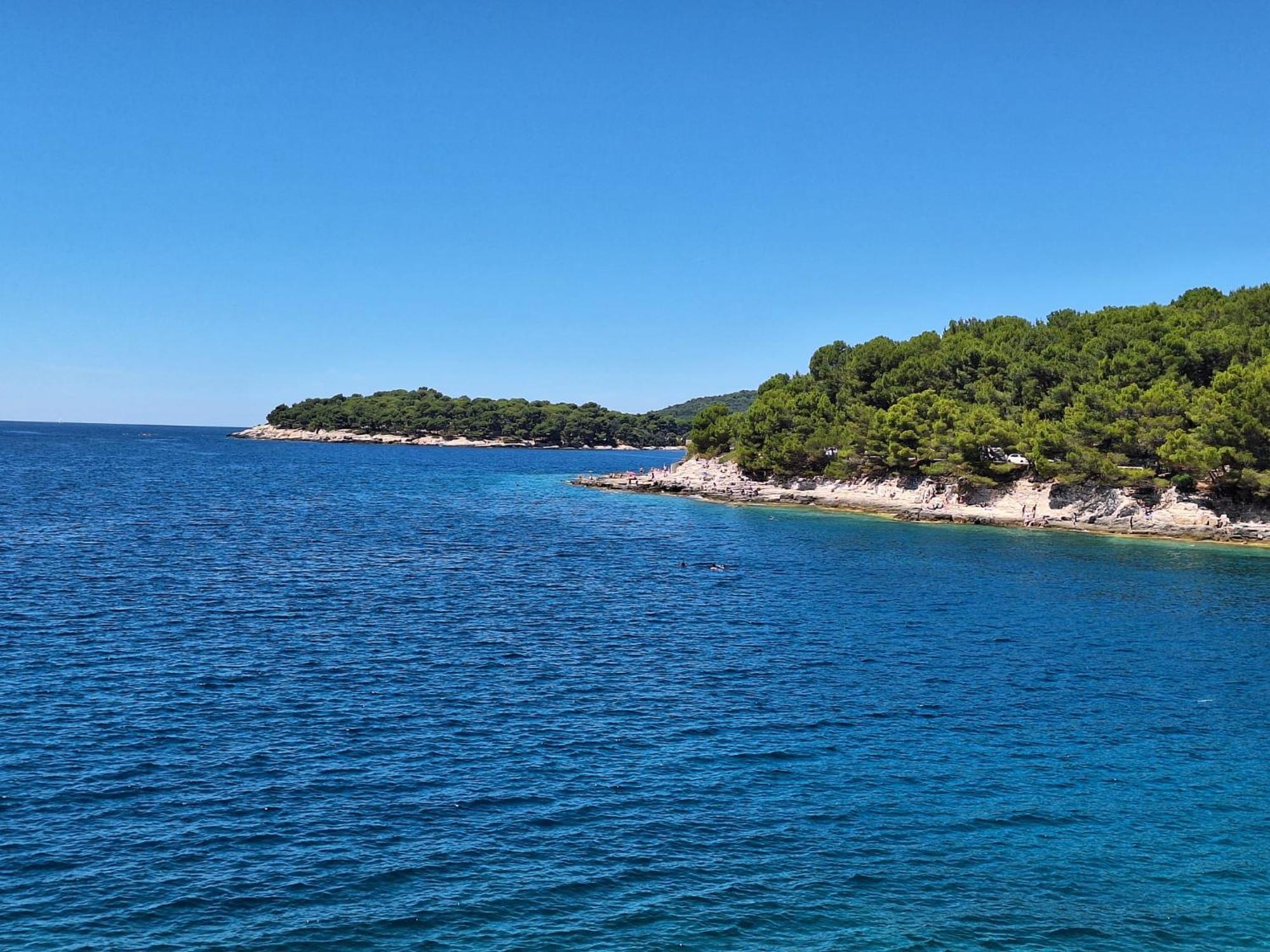 Villa Kamelija Fažana Esterno foto