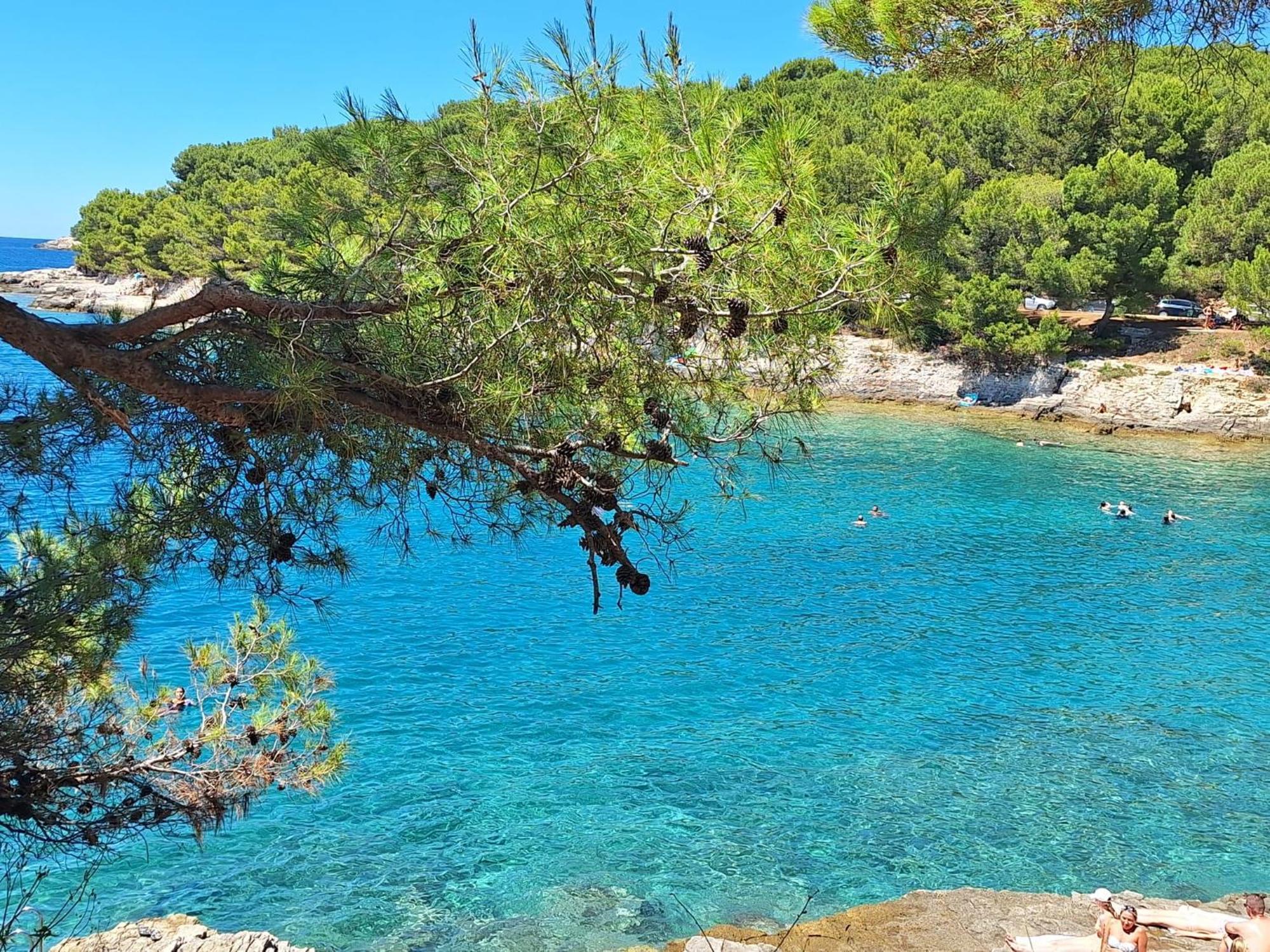 Villa Kamelija Fažana Esterno foto