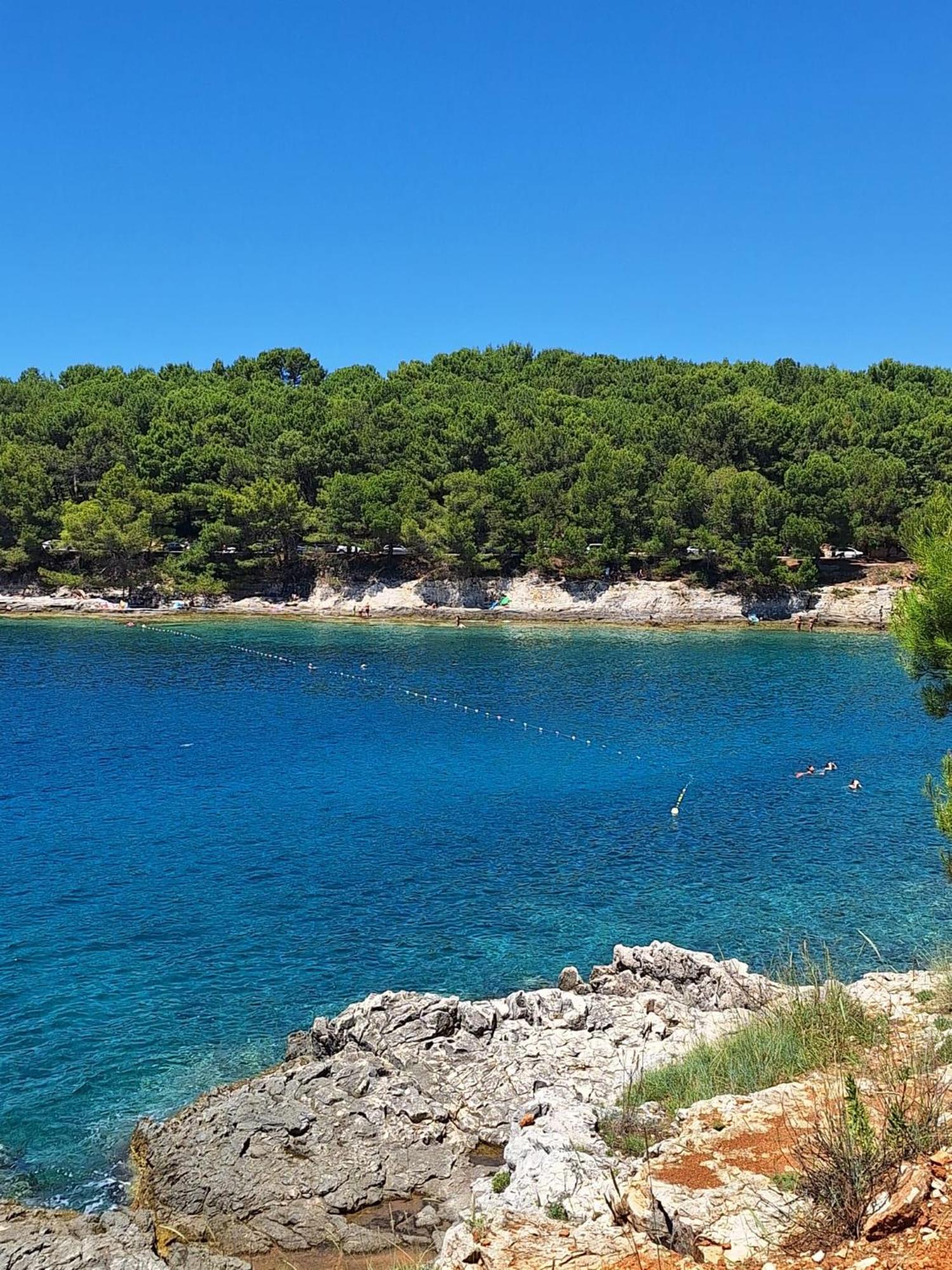 Villa Kamelija Fažana Esterno foto
